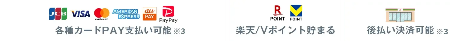 各種カードPAY支払い可能 楽天/Vポイント貯まる 後払い決済可能