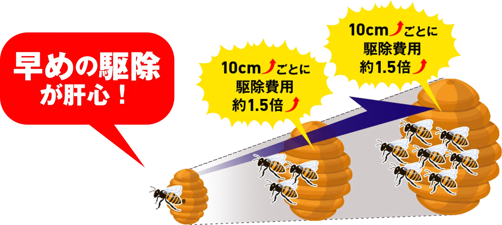 早めの駆除が肝心! 10cmごとに駆除費用約1.5倍