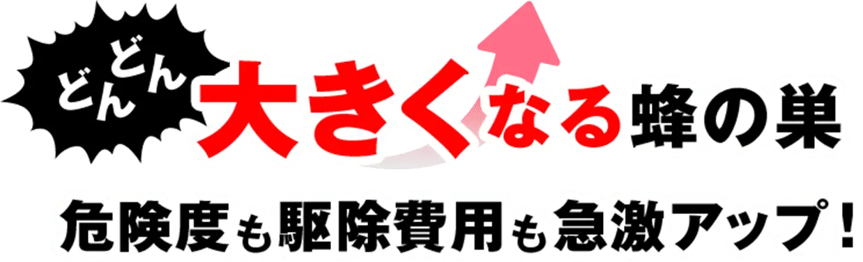 どんどん大きくなる蜂の巣 危険度も駆除費用も急激アップ!