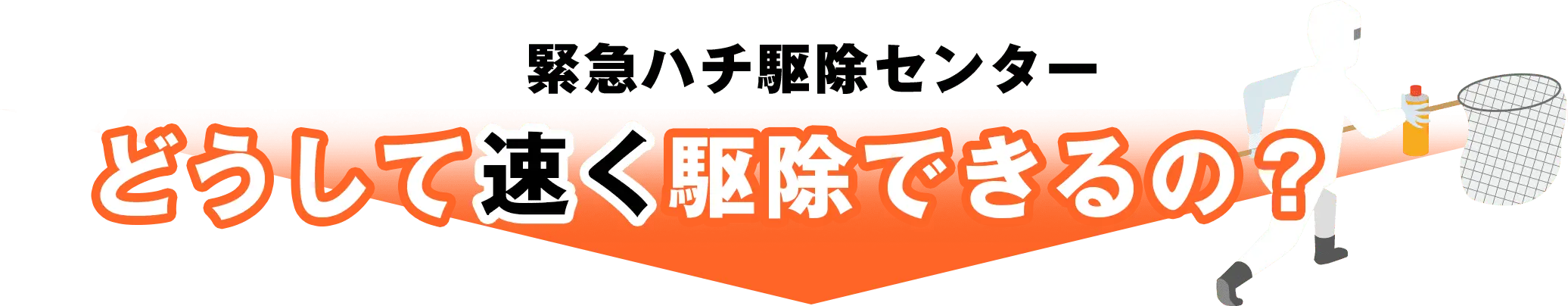 緊急ハチ駆除センター どうして速く駆除できるの?