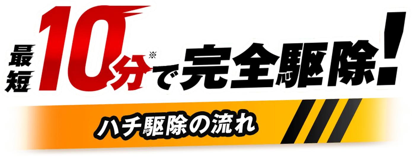 最短10分で完全駆除！ハチ駆除の流れ