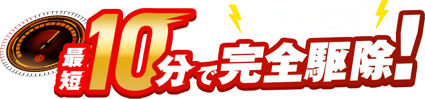 最短10分で一匹残らず完全駆除!