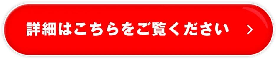 詳細はこちらをご覧ください