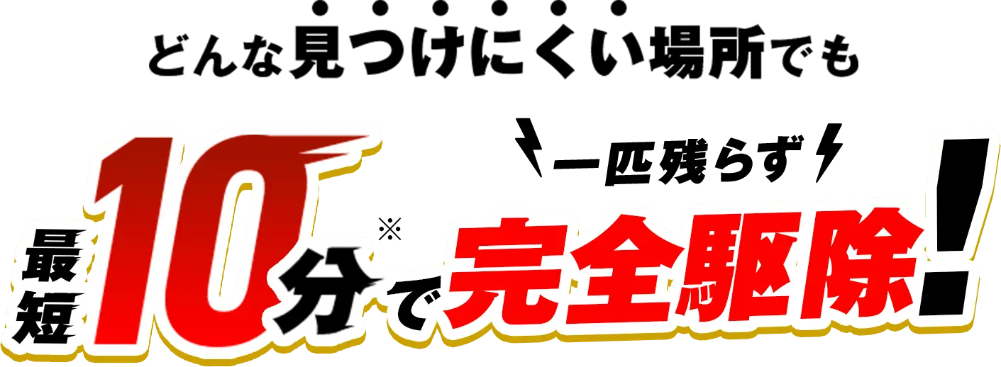 どんなに見つけにく場所でも最短10分で一匹残らず完全駆除！